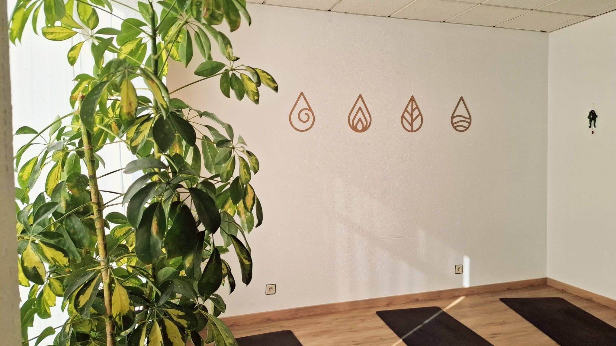 Nuestra sala — vista 4