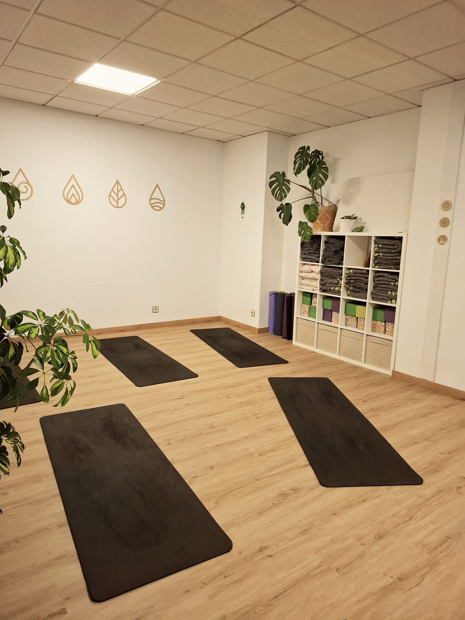 Nuestra sala — vista 5