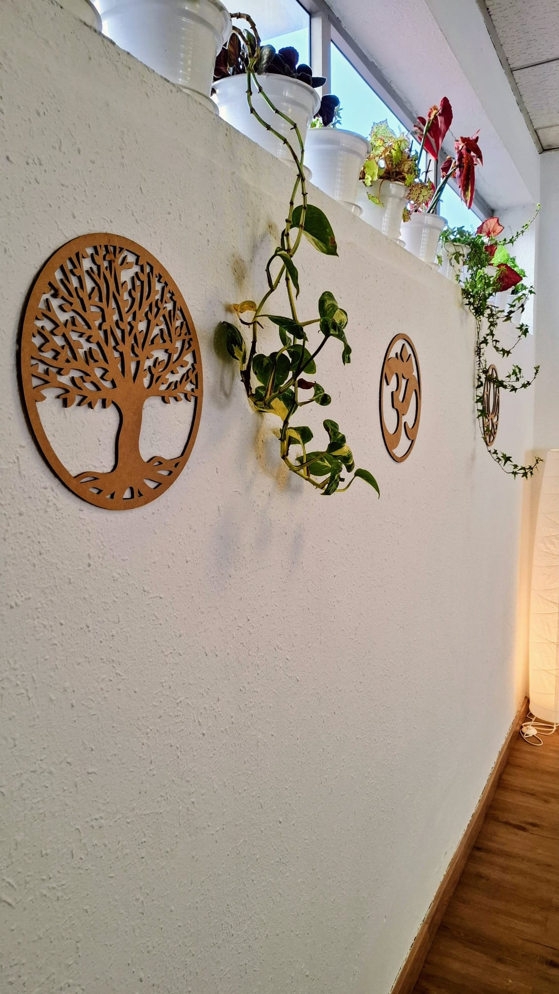 Nuestra sala — vista 8